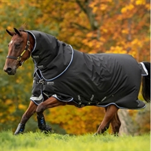 Horseware Amigo 1200D Plus Turnout 250 Gramm Pony